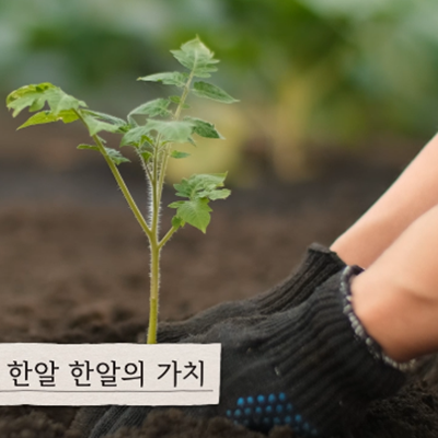 [기관영상]서울시협업 친환경농산물 산지체험 대체 동영상_자연의선물 위대한밥상 과일이야기